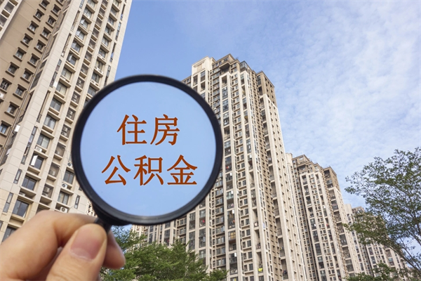 樟树深圳公积金（深圳公积金首页）